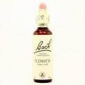BACH 9 CLEMATIS 20ML